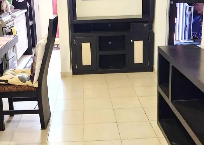 Onix Axolotl Apartamento México DF