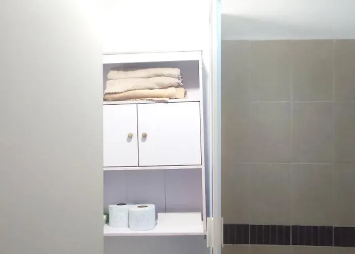 Onix Axolotl Apartamento México DF